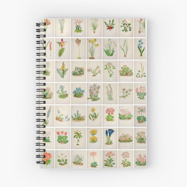 Item preview, Vintage Alpine Flower Drawings and illustrations, Portrait, poster designed and sold by Michael Dietrich.