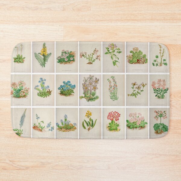 Item preview, Vintage Alpine Flower Drawings and illustrations, Portrait, poster designed and sold by Michael Dietrich.