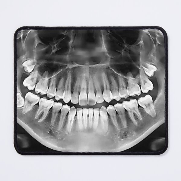 Item preview, Smile for the camera designed and sold by jaynerushton.