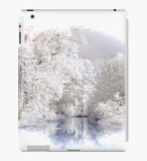 Winter Alpine Lake Scene iPad Case/Skin
