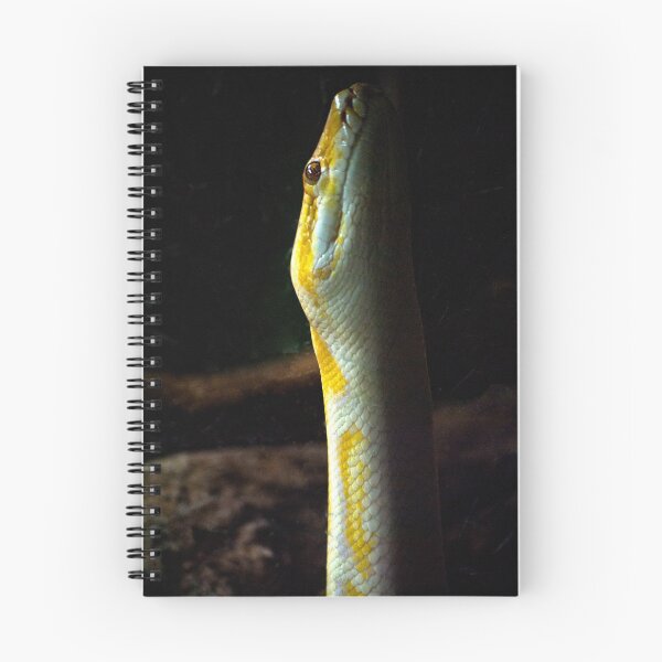 Item preview, Python Snake Stare designed and sold by EarthUnlocked.