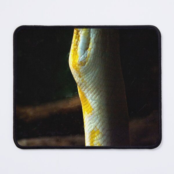 Item preview, Python Snake Stare designed and sold by EarthUnlocked.