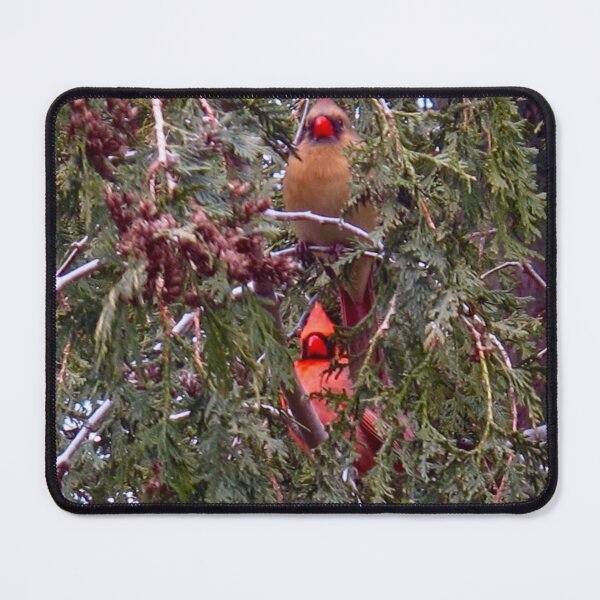 Item preview, A little privacy please! designed and sold by MarianBendeth.
