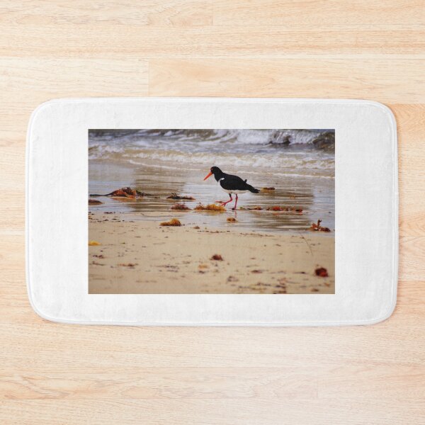 Item preview, Oyster Catcher  designed and sold by D-GaP.