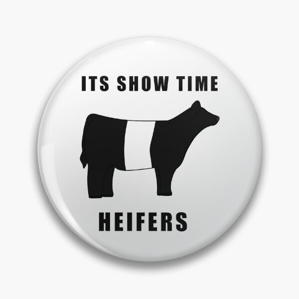 Item preview, ITS SHOW TIME HEIFERS Belted Galloway Black and white  designed and sold by Horsequeenozie.