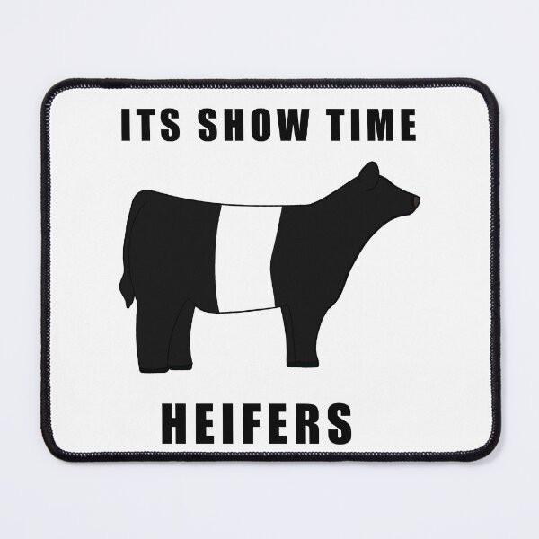 Item preview, ITS SHOW TIME HEIFERS Belted Galloway Black and white  designed and sold by Horsequeenozie.