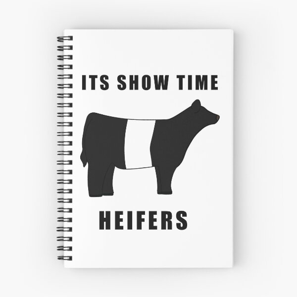 Item preview, ITS SHOW TIME HEIFERS Belted Galloway Black and white  designed and sold by Horsequeenozie.