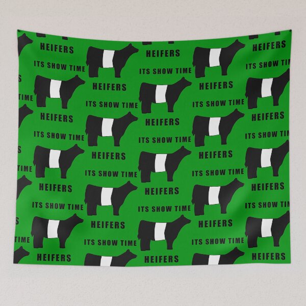 Item preview, ITS SHOW TIME HEIFERS Belted Galloway Black and white  designed and sold by Horsequeenozie.