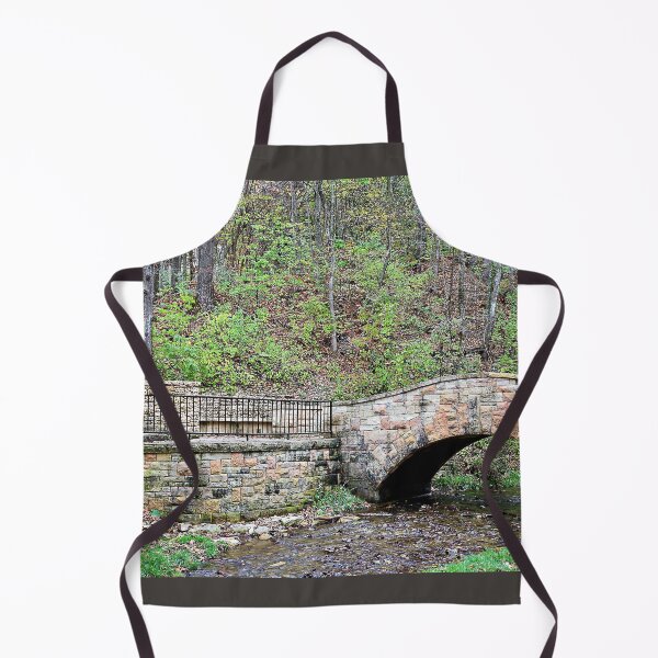 Item preview, Bridge and Stairs in Dunning's Spring Park designed and sold by Martha Sherman.