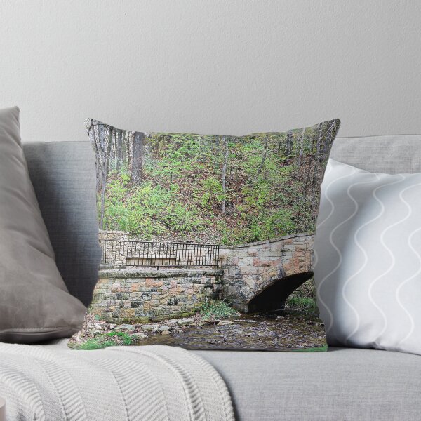 Item preview, Bridge and Stairs in Dunning's Spring Park designed and sold by Martha Sherman.