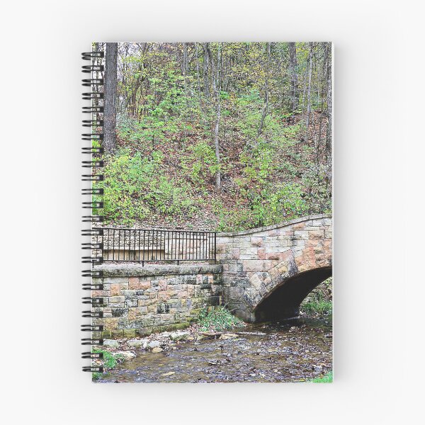 Item preview, Bridge and Stairs in Dunning's Spring Park designed and sold by Martha Sherman.