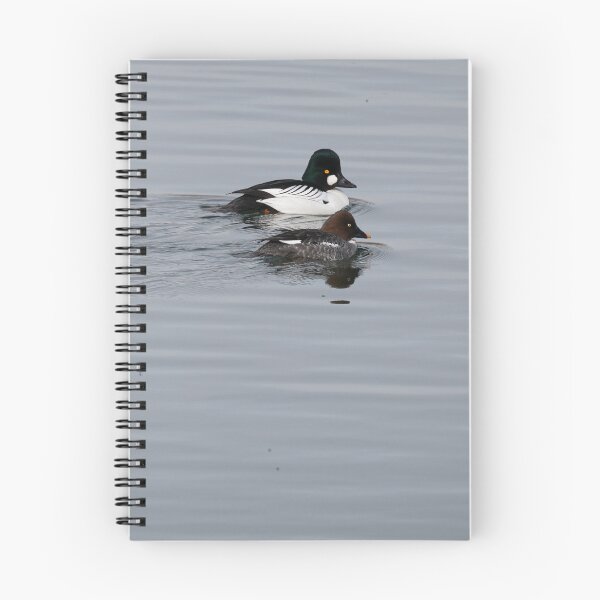 Item preview, Common Goldeneye Couple designed and sold by dmlb photography.