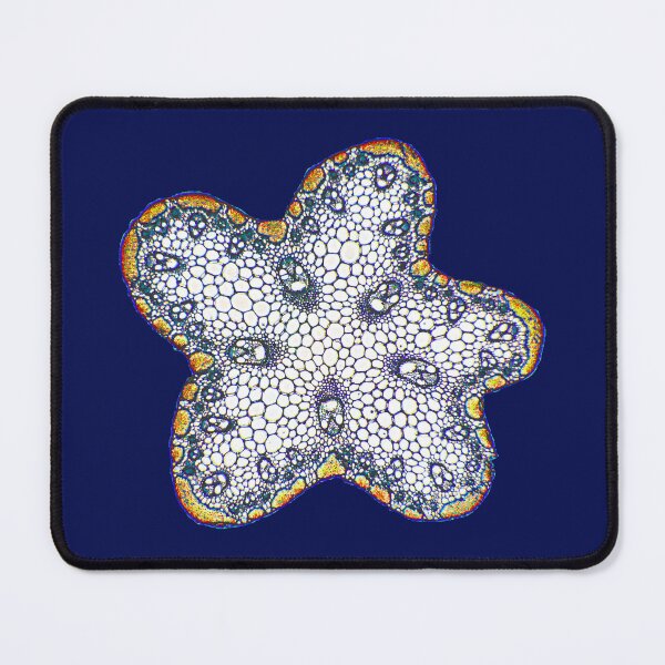 Item preview, Microscopic Cells 03 designed and sold by Minerva92.
