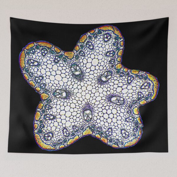 Item preview, Microscopic Cells 03 designed and sold by Minerva92.