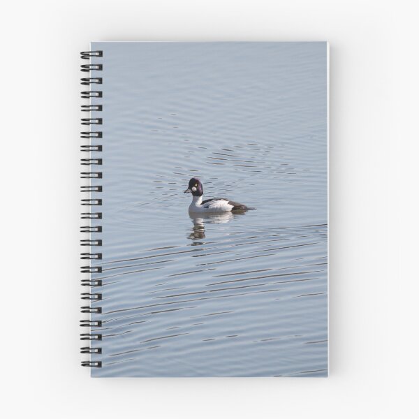 Item preview, Common Goldeneye designed and sold by dmlb photography.