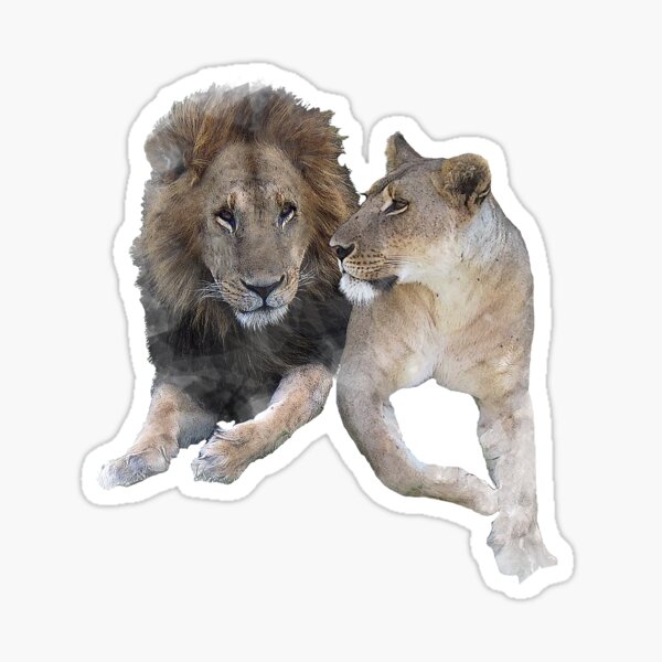 FLOWER STICKER – LOVE & LION