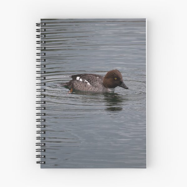 Item preview, Common Goldeneye designed and sold by dmlb photography.