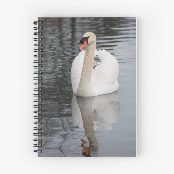 Item preview, Mute Swan designed and sold by dmlb photography.