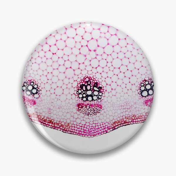 Item preview, Microscopic Cells 04 designed and sold by Minerva92.