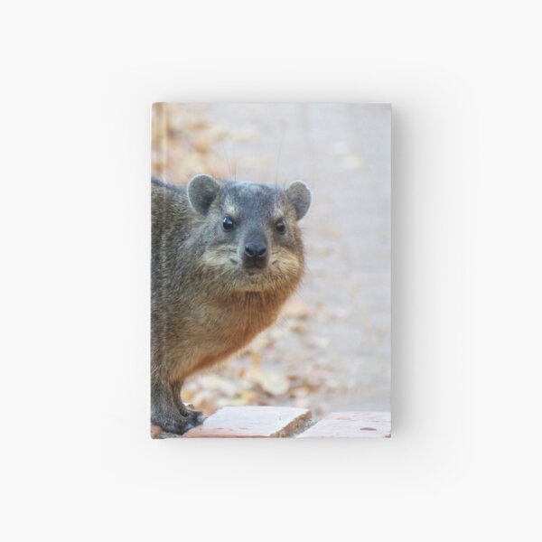 Dassie / Rock hyrax Hardcover Journal