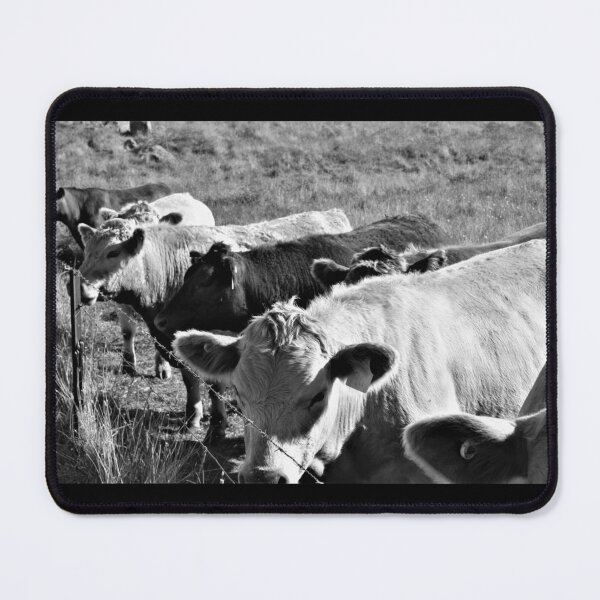 Item preview, Cow gang designed and sold by MyLittleLens.