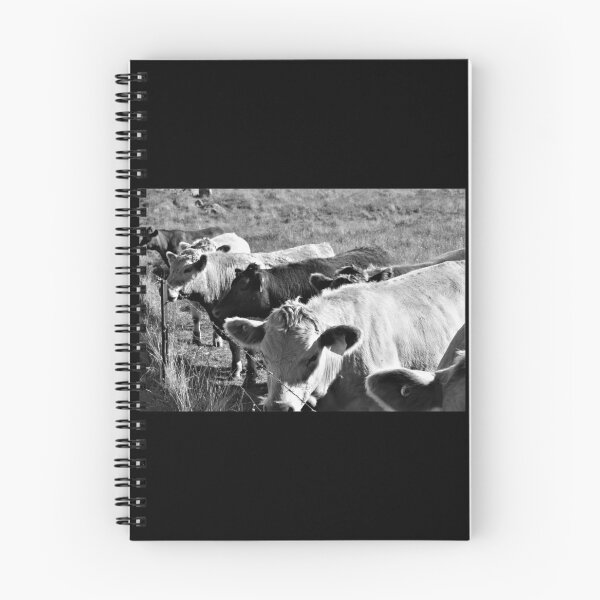 Item preview, Cow gang designed and sold by MyLittleLens.