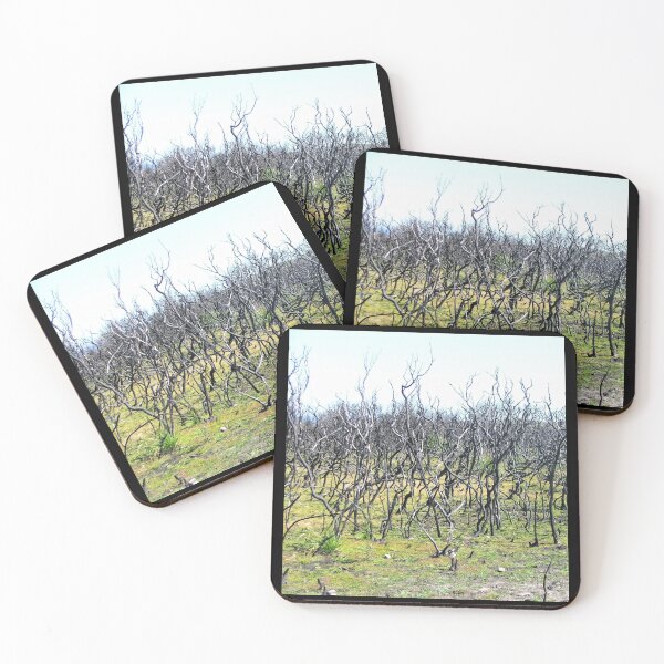 Item preview, New growth designed and sold by MyLittleLens.
