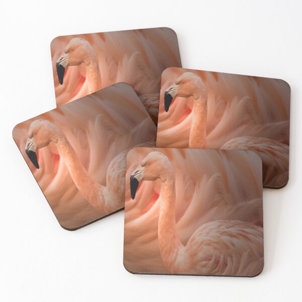 Item preview, Zoology - Chilean Flamingo designed and sold by Alius Imago.