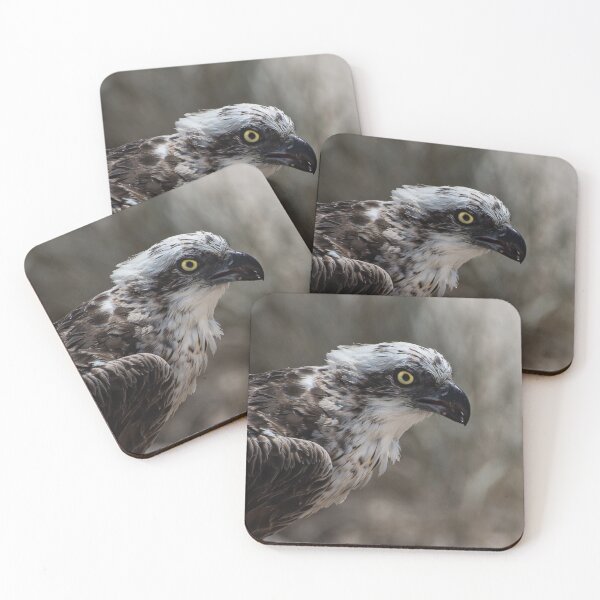 Item preview, Eastern Osprey designed and sold by UnseenSixth.