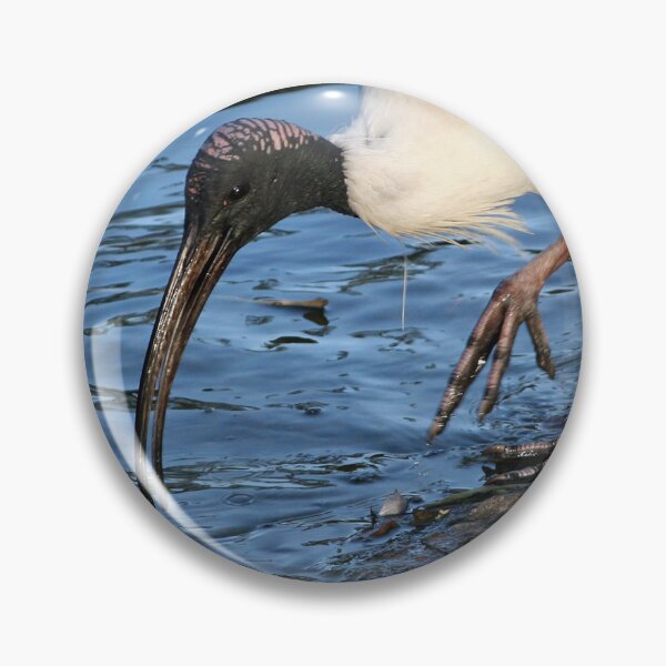 Item preview, Ibis Drinking designed and sold by STHogan.