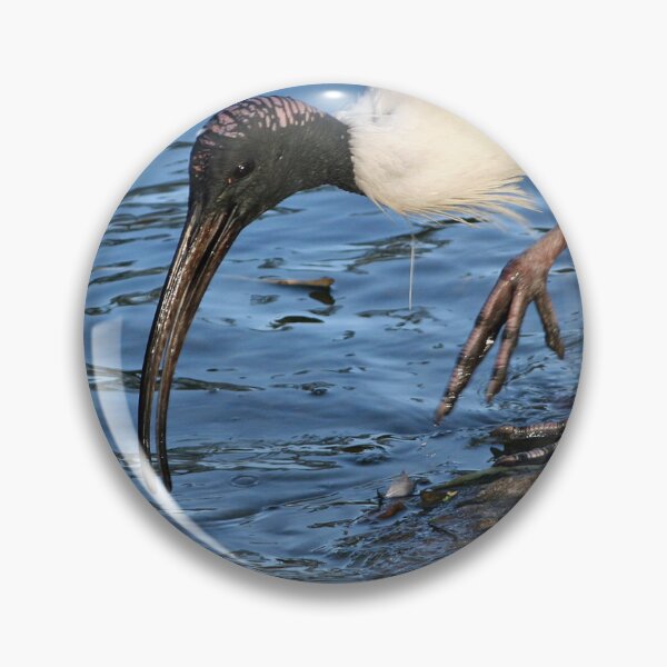 Item preview, Ibis Drinking designed and sold by STHogan.
