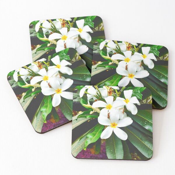 Item preview, White Plumeria flowers in my office designed and sold by my-tree.