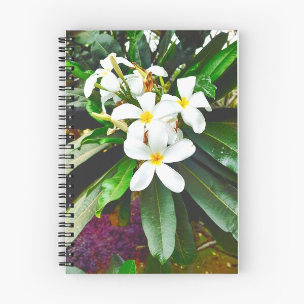 Item preview, White Plumeria flowers in my office designed and sold by my-tree.