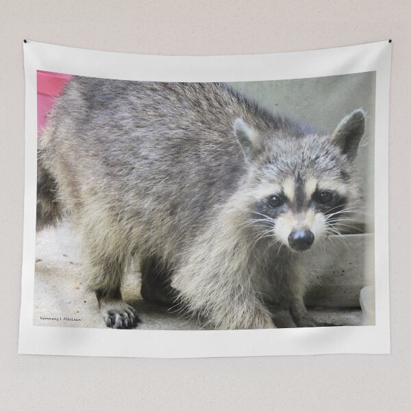 Item preview, A Friendly Raccoon designed and sold by Kimmary.