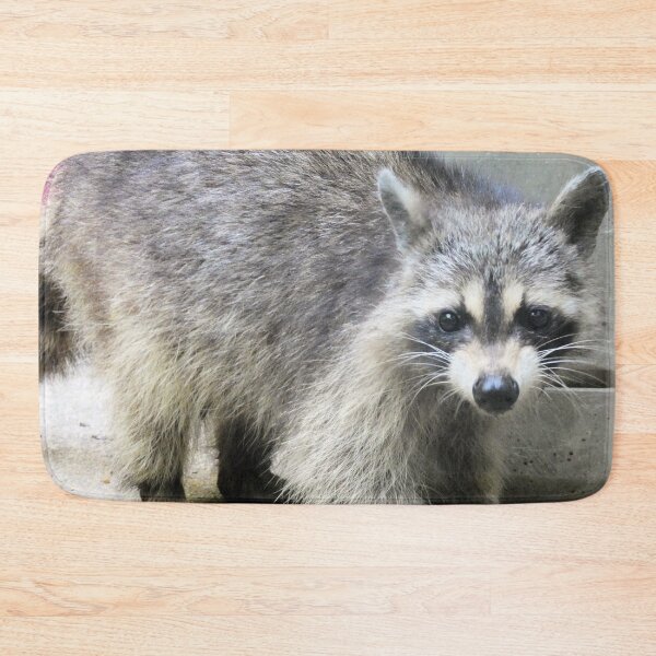 Item preview, A Friendly Raccoon designed and sold by Kimmary.