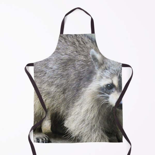 Item preview, A Friendly Raccoon designed and sold by Kimmary.
