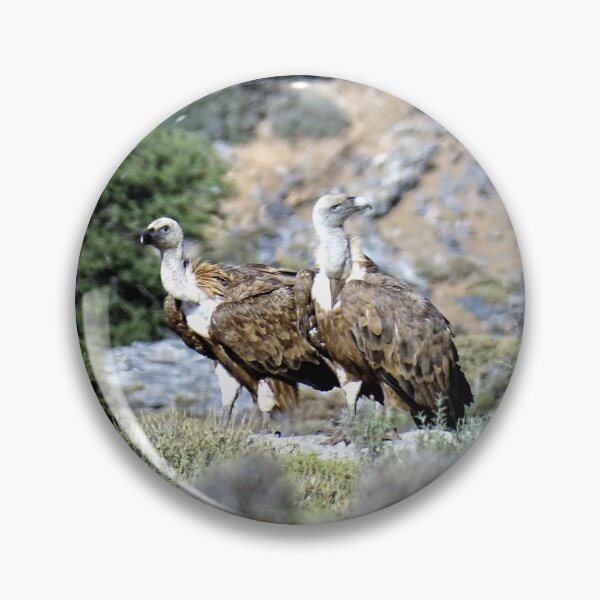 Item preview, Cretan vultures designed and sold by DTOUR-DESIGN.
