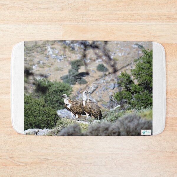 Item preview, Cretan vultures designed and sold by DTOUR-DESIGN.
