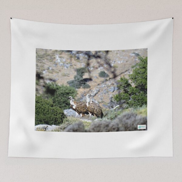 Item preview, Cretan vultures designed and sold by DTOUR-DESIGN.