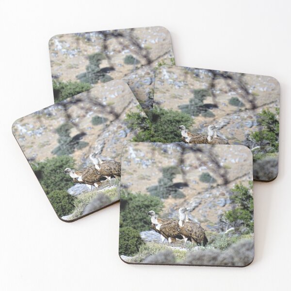 Item preview, Cretan vultures designed and sold by DTOUR-DESIGN.