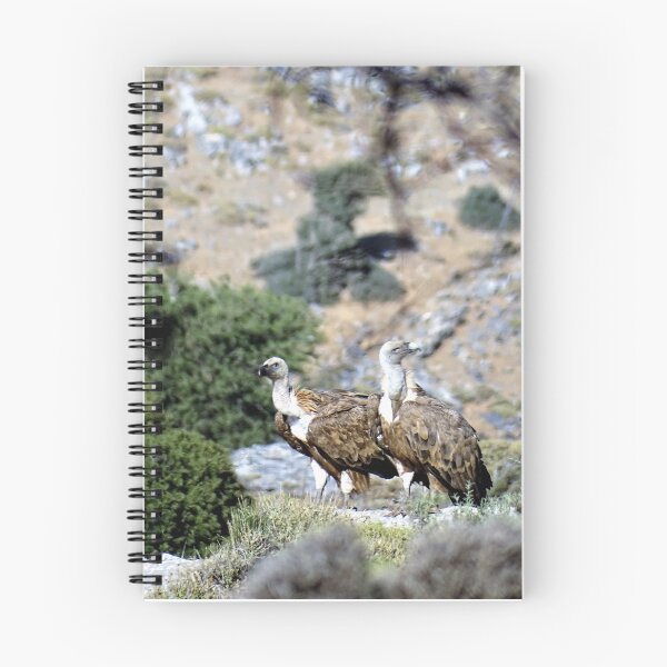 Item preview, Cretan vultures designed and sold by DTOUR-DESIGN.