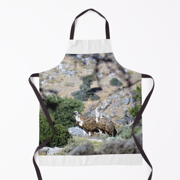 Item preview, Cretan vultures designed and sold by DTOUR-DESIGN.