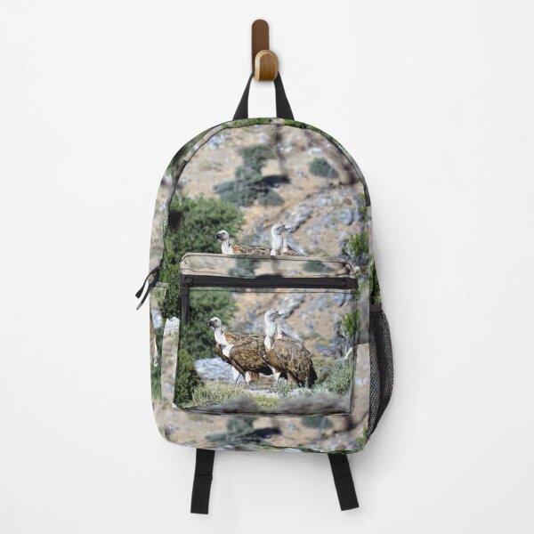 Item preview, Cretan vultures designed and sold by DTOUR-DESIGN.
