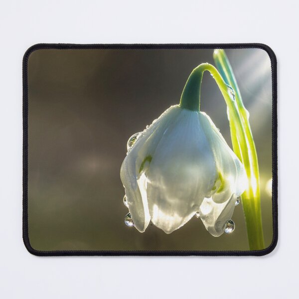 Item preview, Galanthus designed and sold by Shadow3561.