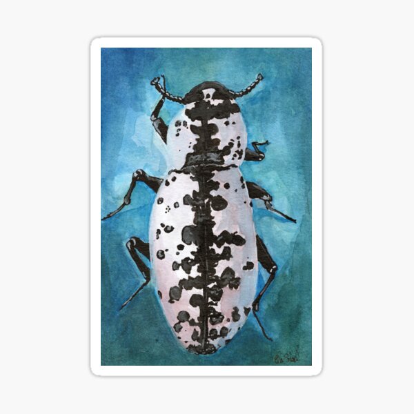 Item preview, Texas Ironclad Beetle black & white pattern by Ela Steel designed and sold by elasteel.