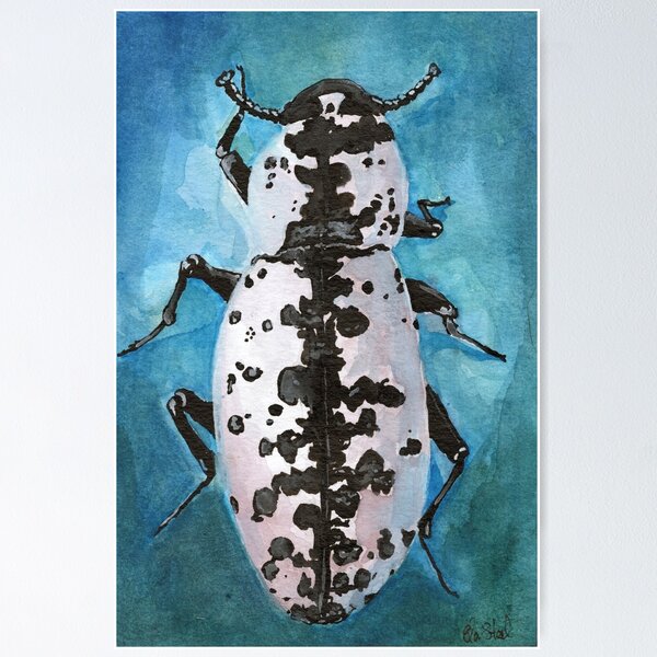 Item preview, Texas Ironclad Beetle black & white pattern by Ela Steel designed and sold by elasteel.