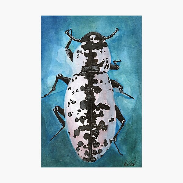 Item preview, Texas Ironclad Beetle black & white pattern by Ela Steel designed and sold by elasteel.