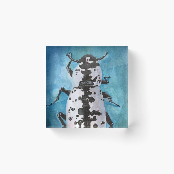 Item preview, Texas Ironclad Beetle black & white pattern by Ela Steel designed and sold by elasteel.