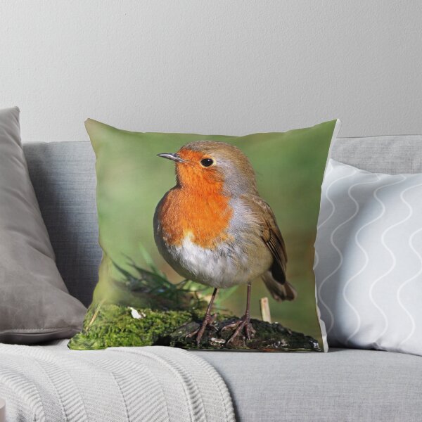Item preview, European Robin - Erithacus Rubecula - Robin Red Breast designed and sold by Robert Flynn.