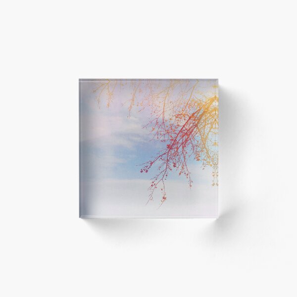 Red Branches Acrylic Block